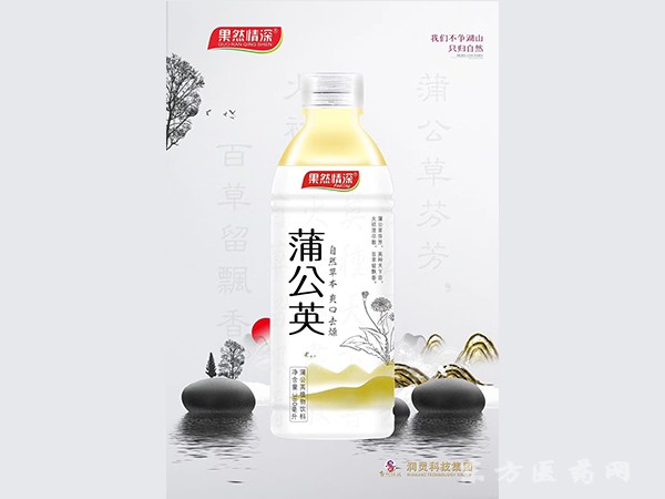 蒲公英植物飲料