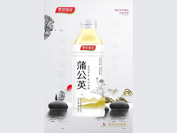 蒲公英植物飲料