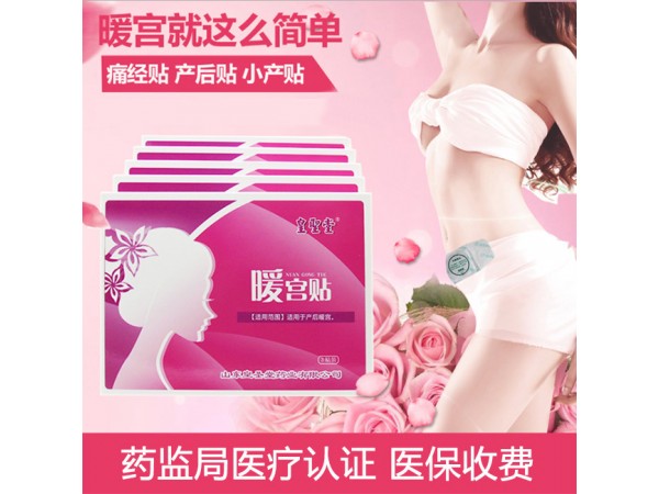 暖宮貼2/3/5多規(guī)格 婦科醫(yī)保耗材