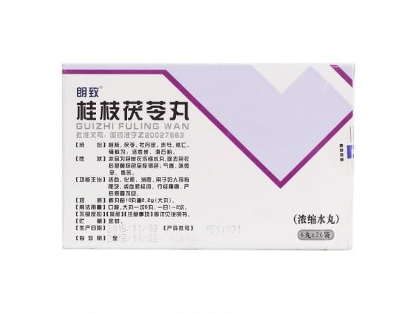 桂枝茯苓丸（濃縮水丸）