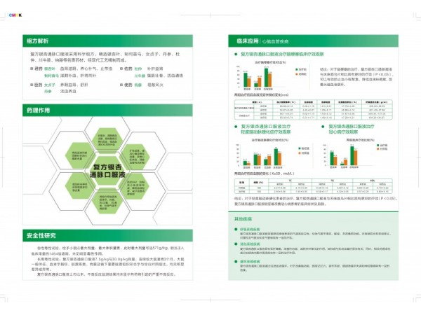 復(fù)方銀杏通脈口服液