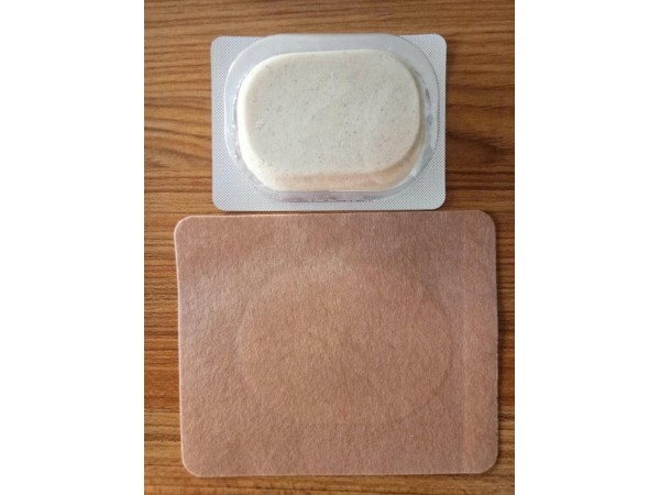 利君沙蒿子透皮貼