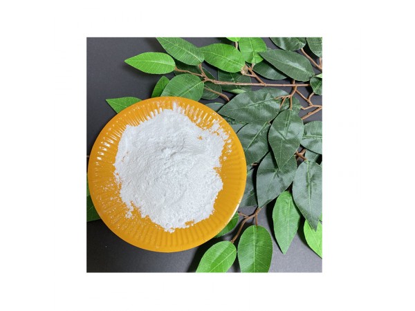 鹽酸文拉法辛 cas 99300-78-4