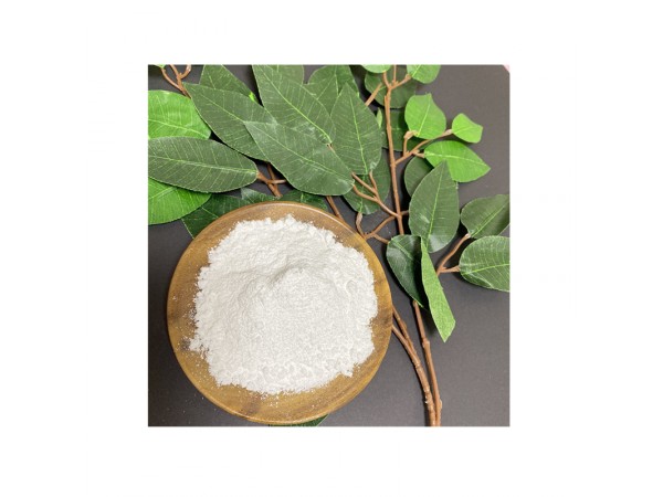 奧利司他 96829-58-2