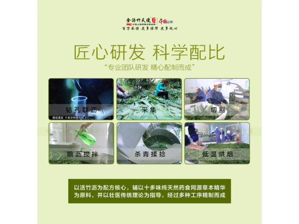 金瀝竹天使山高茶