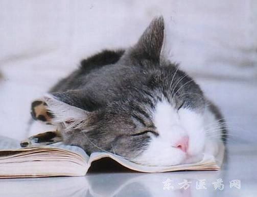 u=2904951619,218791543&fm=26&gp=0