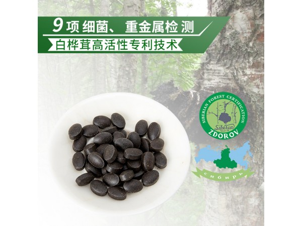 白樺茸精片 樺褐孔菌片