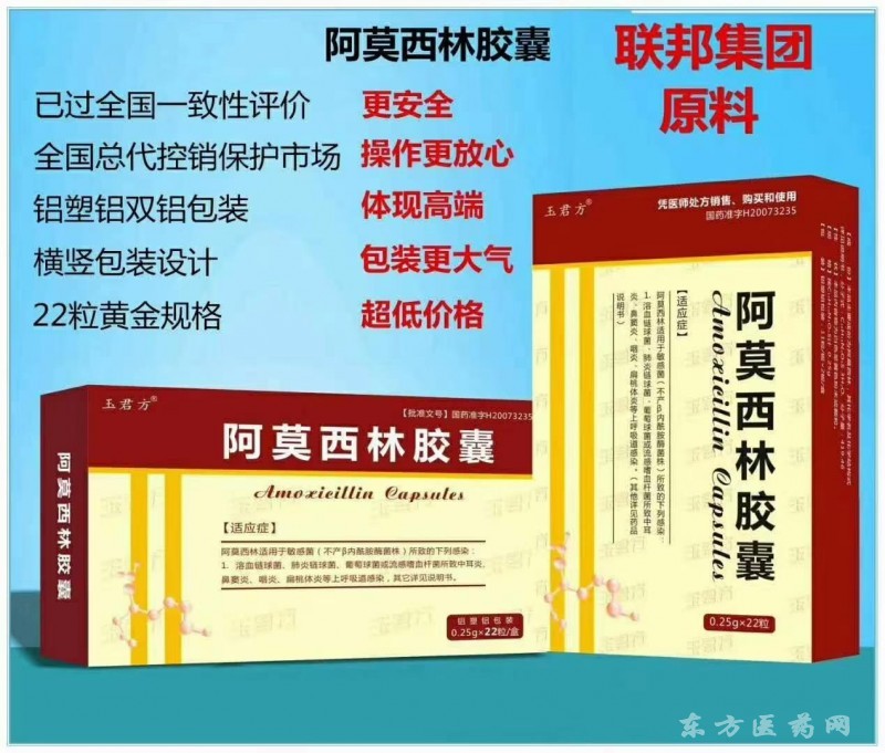 玉君方 阿莫西林膠囊