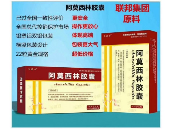 玉君方 阿莫西林膠囊