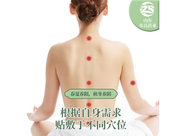 穴位貼敷治療貼---三伏貼