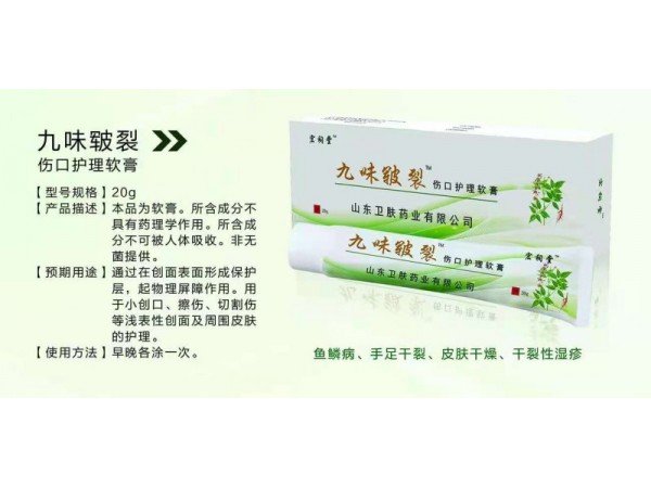 九味皸裂