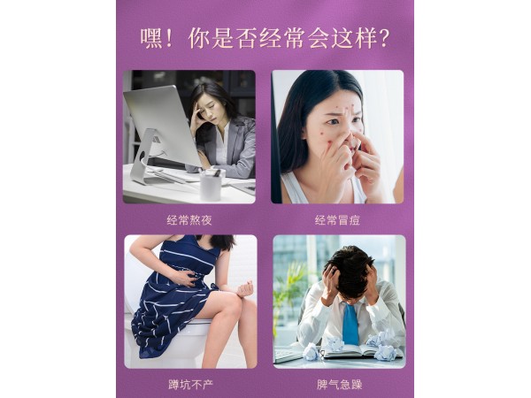 草晶華五子桑菊破壁草本