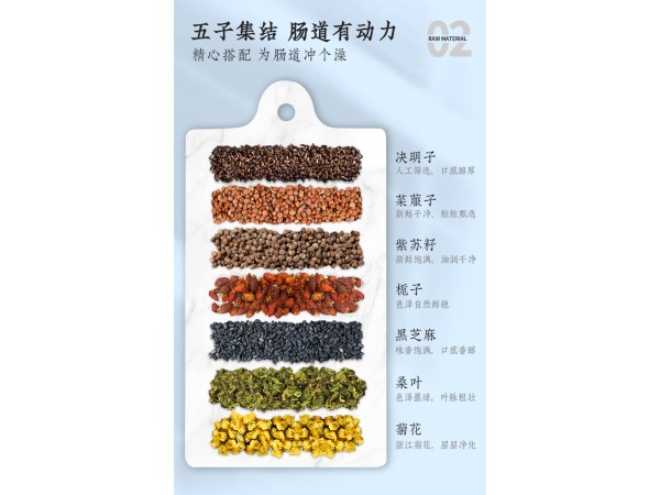 草晶華五子桑菊破壁草本