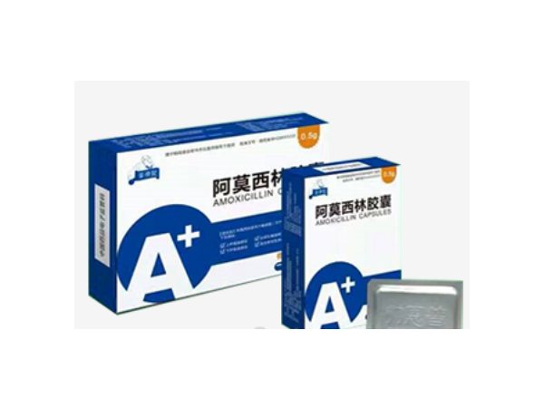 阿莫西林膠囊