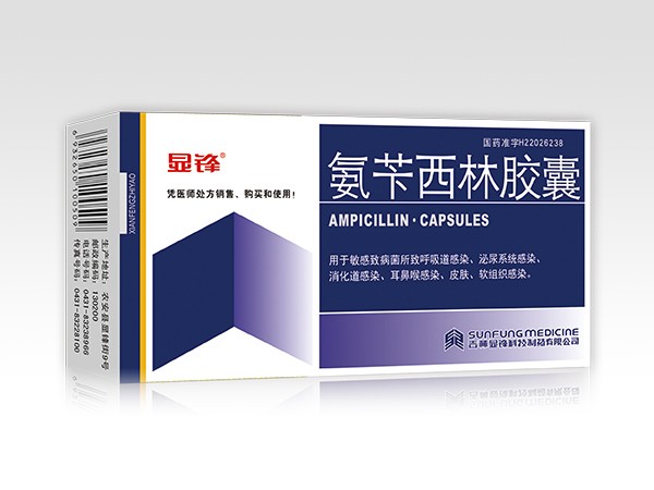 氨芐西林膠囊