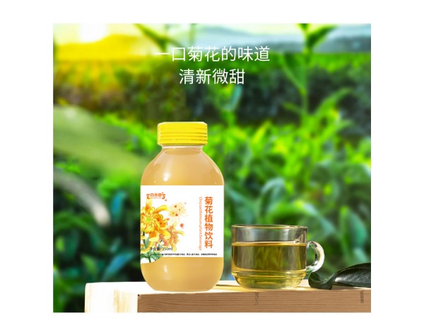 菊花植物飲料OEM代加工