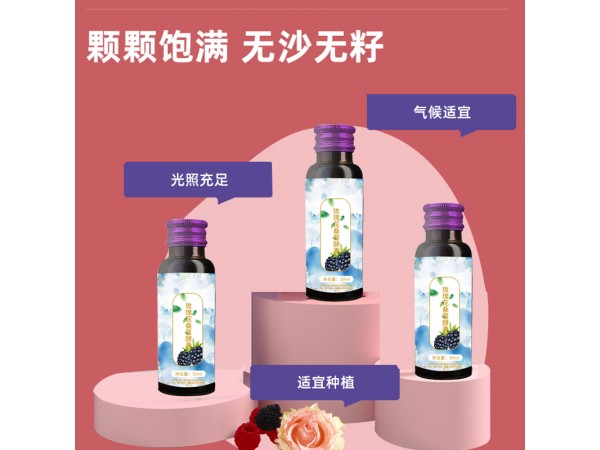 玫瑰花桑葚酵素批量生產(chǎn)