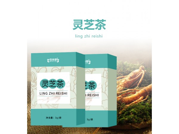 靈芝茶加工定制