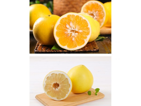 雙柚子植物飲品廠家源頭代加工