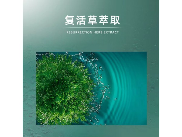 美葆林復(fù)活草日夜補(bǔ)水面霜