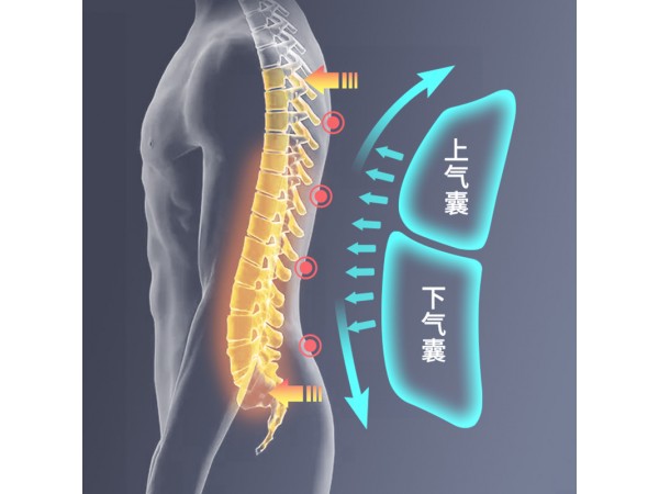 萊弗凱 低位胸腰固定支具 醫(yī)院直供 一件代發(fā)