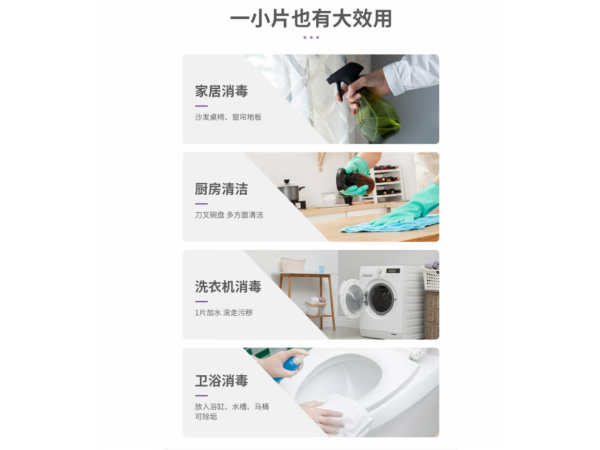 閱紫 含氯消毒片100片/瓶