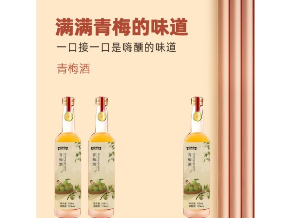青梅酒源頭廠家貼牌招代理山東慶葆堂