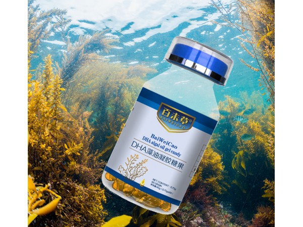 百未草DHA藻油oem山東慶葆堂