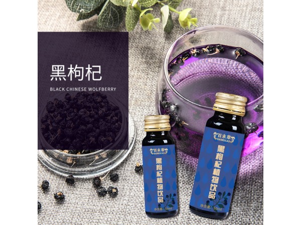 黑枸杞植物飲品oem山東慶葆堂