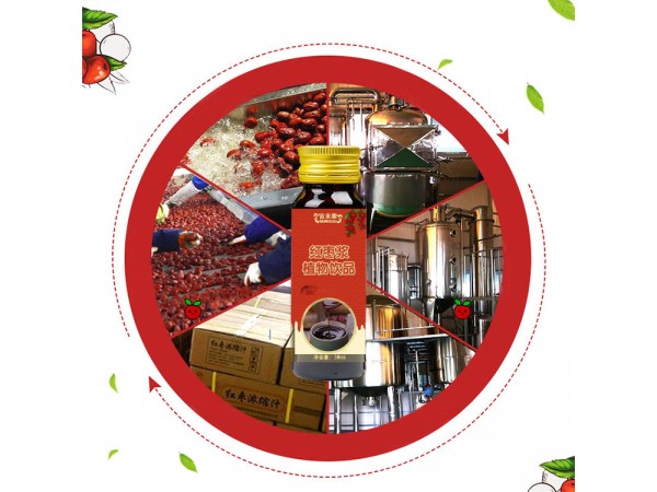 紅棗漿植物飲品oem山東慶葆堂