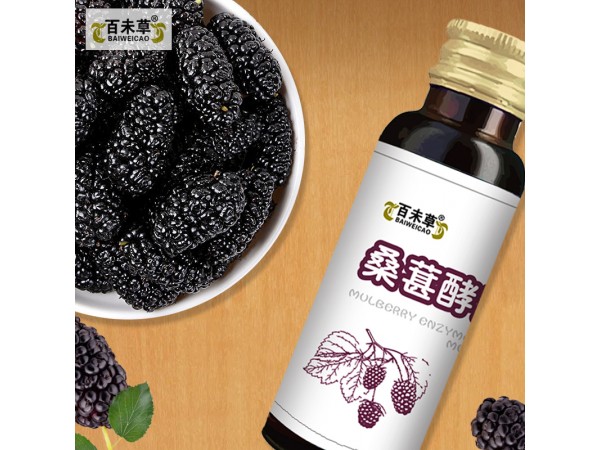 桑葚酵素植物飲品oem山東慶葆堂