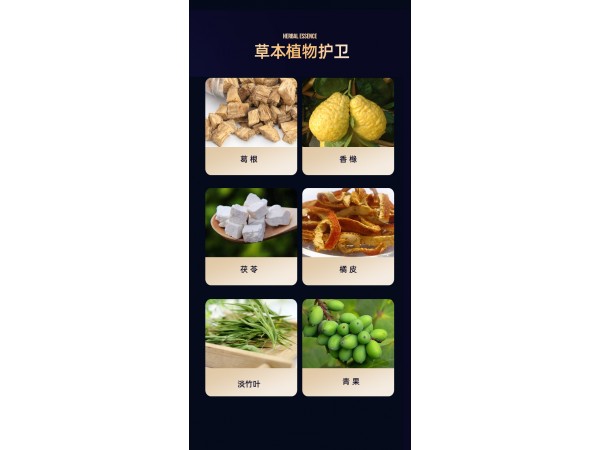 恒元星葛根青果植物飲品