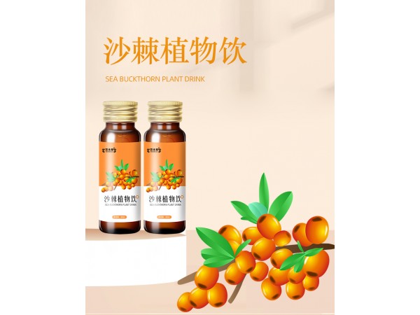 沙棘植物飲品 代加工貼牌定制