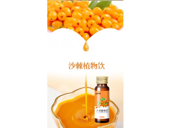 沙棘植物飲品 代加工貼牌定制