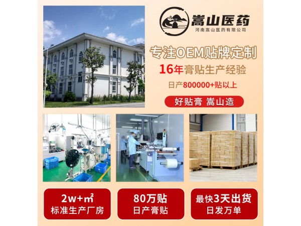 嵩山醫(yī)追風(fēng)疼痛保健貼肌肉關(guān)節(jié)疼痛穴位腰椎貼頸椎貼腰腿痛非膏藥