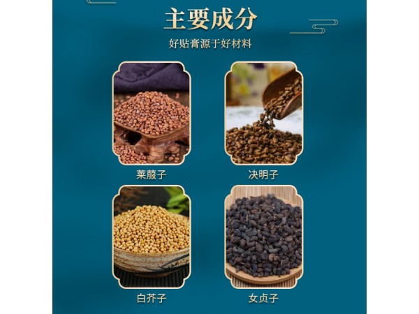 李氏嵩山清體纖脂保健貼非緊致瘦小腹大腿肉纖姿纖體膏