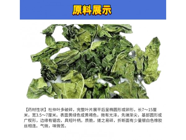 杜仲葉提取物 綠原酸 醇提取純粉