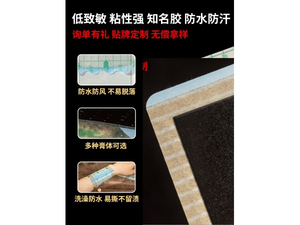 嵩山醫(yī)藥頸肩腰腿保健貼關節(jié)貼疼痛貼跌打扭傷頸椎貼膏藥貼腰腿痛