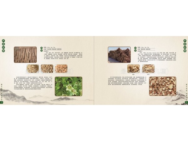 當(dāng)歸黃芪黨參柴胡甘草