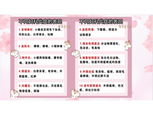 呂易圣婦潔凈中藥包