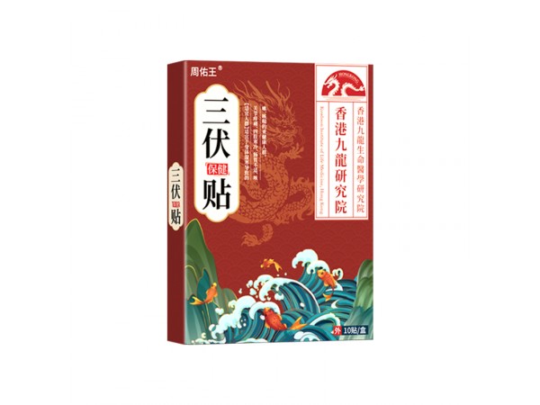 2024新品周佑王三伏保健貼穴位貼