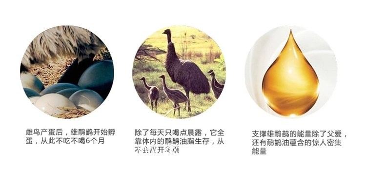 鴯鹋油產品定制定做醫(yī)院診所中標掛網企業(yè)合作ODM