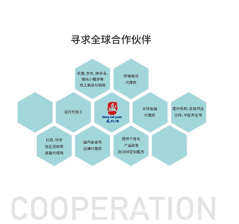 盛凱源痛貼 遠(yuǎn)紅外理療貼 量大從優(yōu)