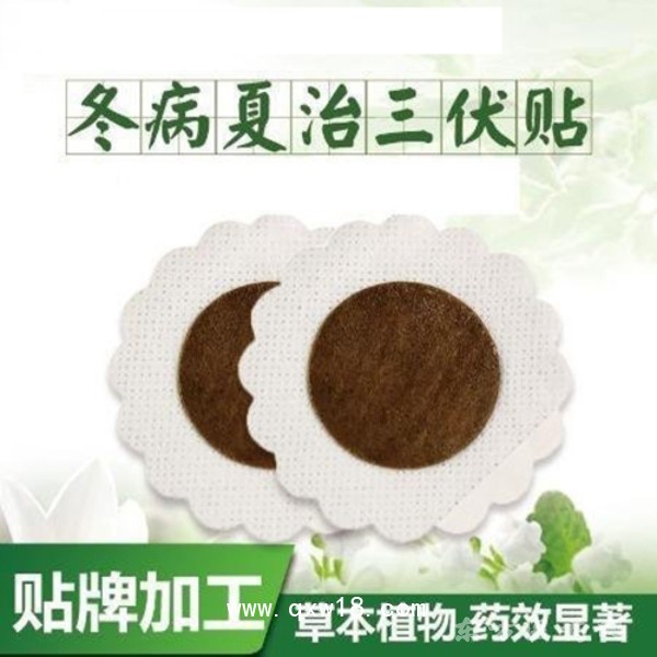 源頭廠家批發(fā)三伏貼冬病夏治夏季伏濕保健貼膏藥貼三九溫灸穴位貼