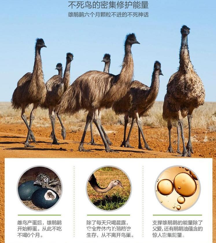 鴯鹋油定制定做品牌合作私人指定供貨醫(yī)院診所連鎖