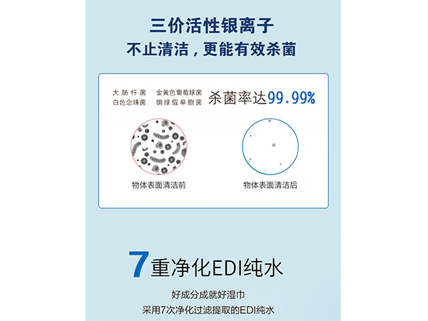 復(fù)即安TM銀離子衛(wèi)生濕巾