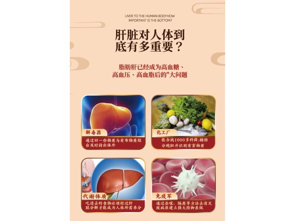 穴位貼敷治療貼（護肝貼）