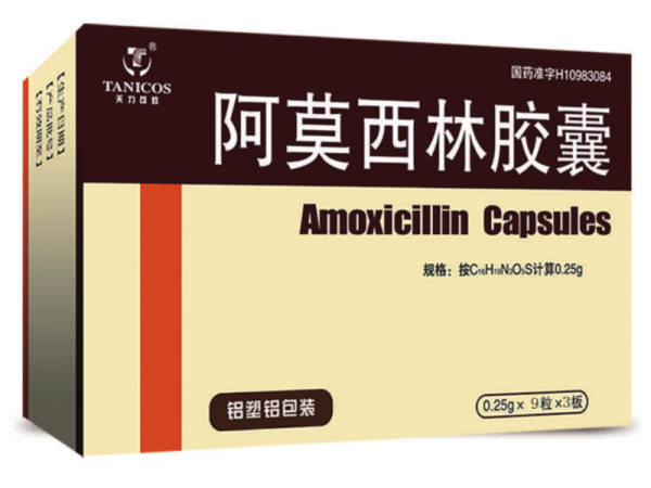 阿莫西林膠囊
