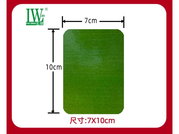 五綠透骨貼骨痛貼