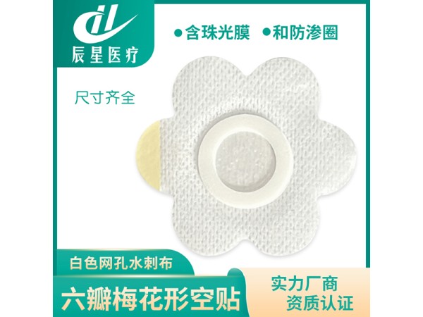 白無妨六瓣梅花空貼